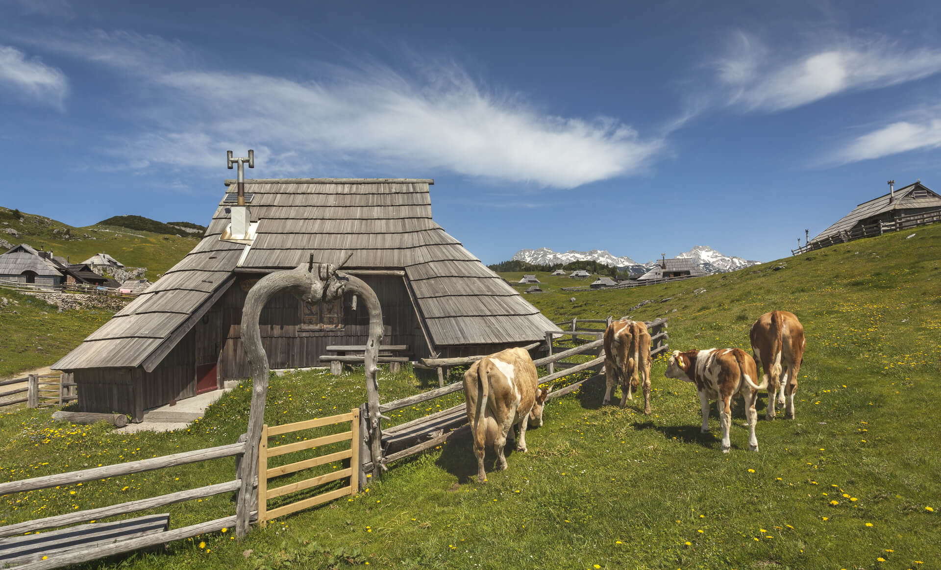Tradicionalni življenjski slog